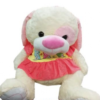 FE0069-80 -  PERRO CON REMERA - Imagen 2