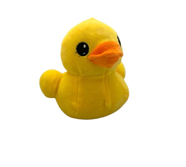 FE3451 - PATO