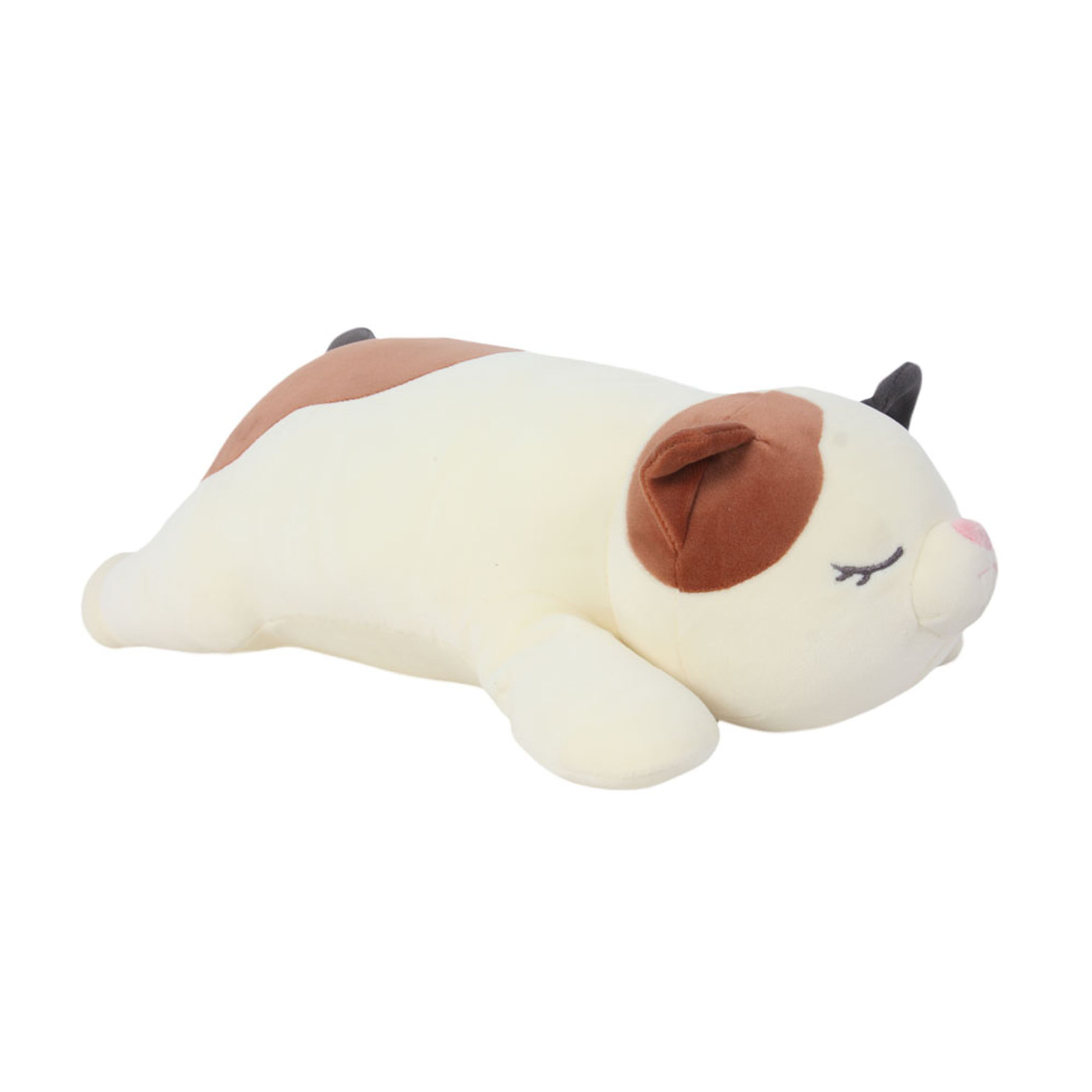 WO13576 - GATO 60CM