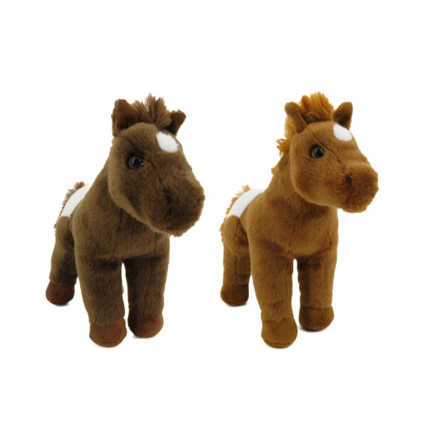 WO614511 - CABALLO